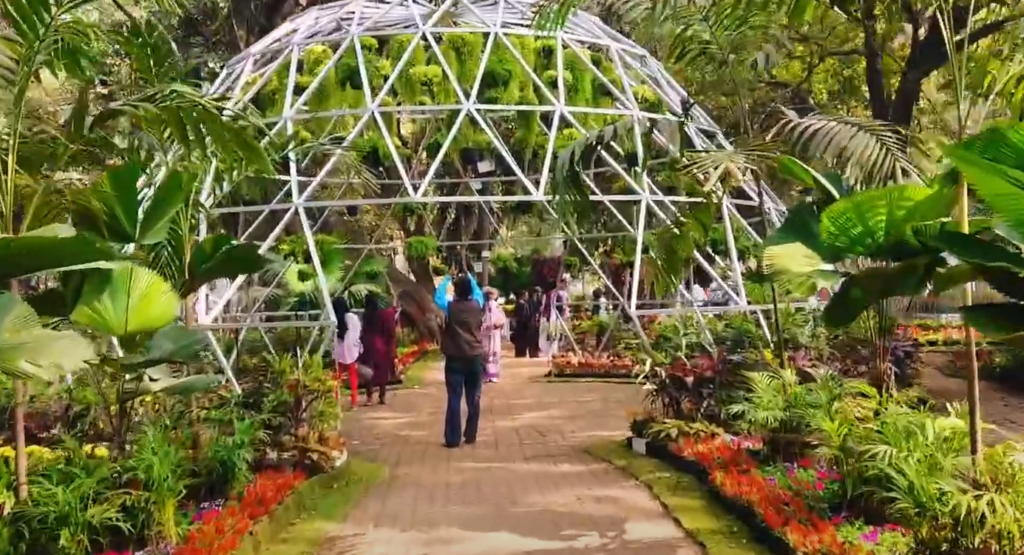 Beautiful looking garden for short films